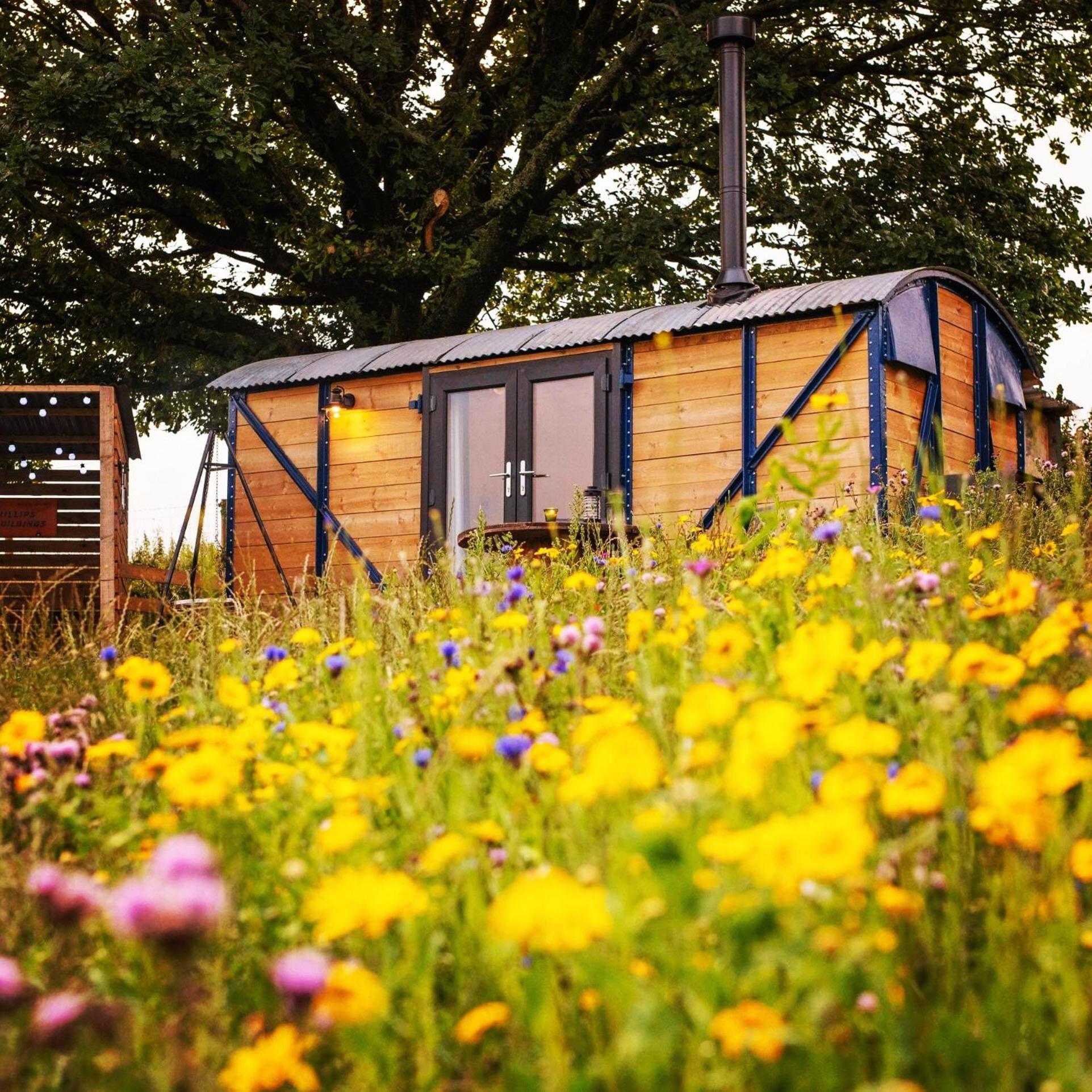 Under The Oak Glamping Hotel Caerphilly Exterior photo